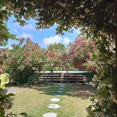 Вілла Cosy En Provence Maillane Екстер'єр фото