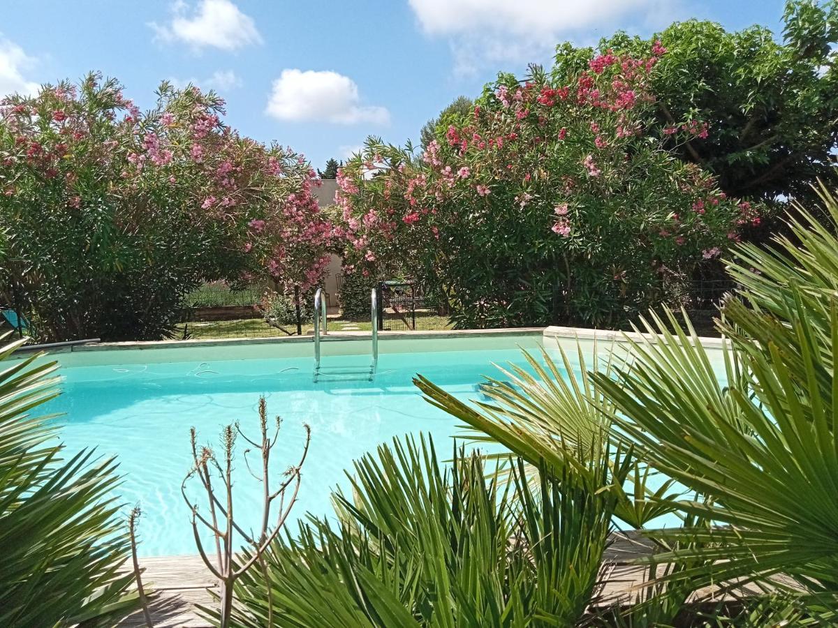 Вілла Cosy En Provence Maillane Екстер'єр фото