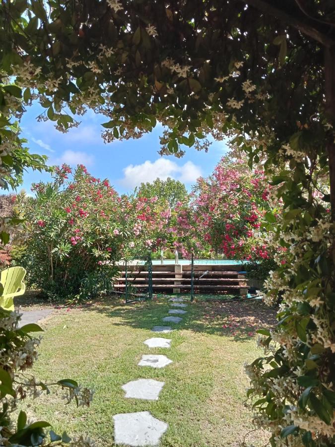 Вілла Cosy En Provence Maillane Екстер'єр фото